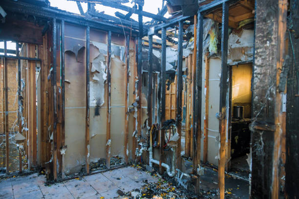 Professional Fire Damage Removal technician working in Delano, MN