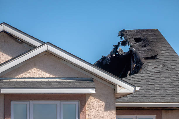 Top rated local Fire Damage Removal specialists in Delano, MN